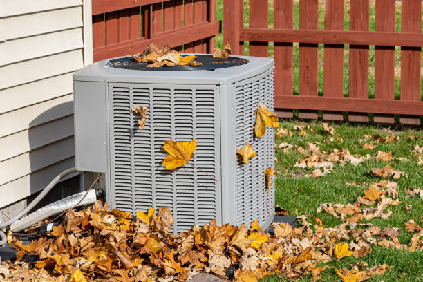 Best Affordable HVAC Services  in Dundas, MN